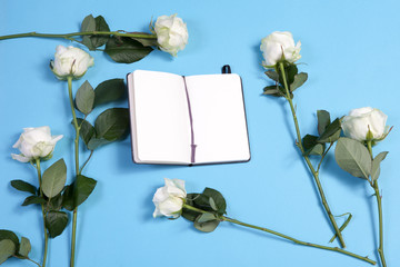 A notebook on the springs with a white rose on a blue background with an empty space for notes.