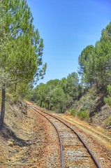 Fototapeta premium El tren de Rio tinto