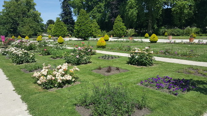 jardin fleurie