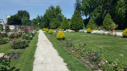 jardin fleurie
