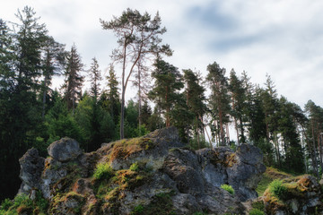 Wental (Wen Valley) Felsenmeer in the Swabian Alb, Baden-Württemberg, Germany