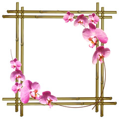 Orchid flower on bamboo frame.  illustration.