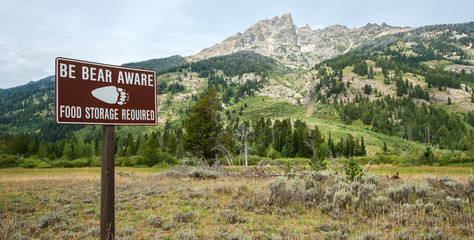 Danger sign of bear attack