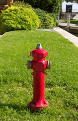 Fototapeta na wymiar Red Hydrant in a Public Park