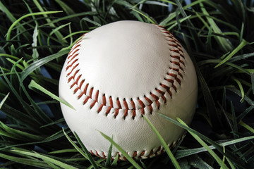 isolated white baseball with red stitching in green grass