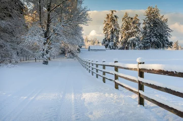 Crédence en verre imprimé Hiver Belle route de campagne après une tempête de neige. La neige poudreuse fraîche tapisse le paysage après une récente tempête de neige sur une île de la région de Puget Sound dans le nord-ouest du Pacifique.
