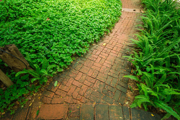 Brick walkway and ornamental trees