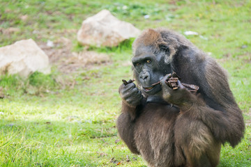 Morning Tour at Safari Ramat Gan
