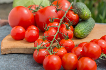 red tomatoes on a branch and board