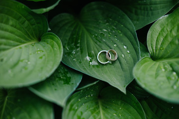 Wedding rings on a leafs, Wedding jewelry