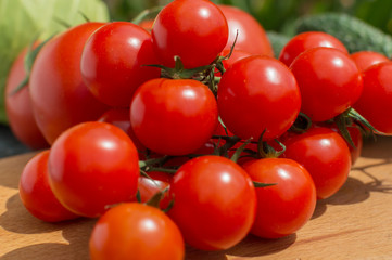 red tomatoes on a branch and board