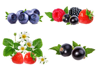 Berries collection. Raspberry, blueberry, currant, blackberry,strawberry isolated