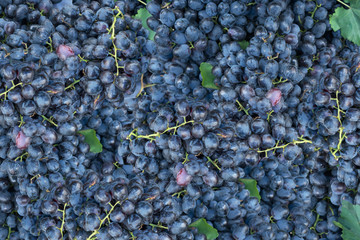 A lot grape stack for background