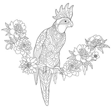 recommend clip art: Coloring page of cockatoo parrot sitting on tropical liana with flowers. Freehand sketch drawing for adult anti stress coloring book with doodle and zentangle elements.