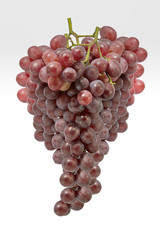 Fresh grape from garden on white background