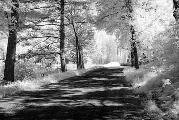 country gravel road in forest. infrared image