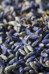 Raw Organic Dry Purple Lavender Spice