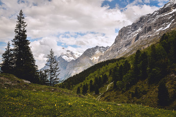 Fototapeta na wymiar Beautiful panoramic view of Swiss Alps, Switzerland