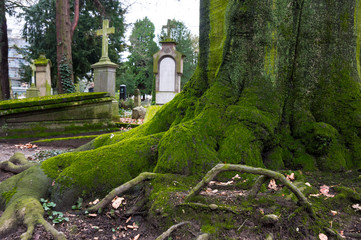 Old cemetery in Bonn