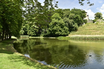 Reflet de la nature au bout du premier étang au domaine du château de Gaasbeek ,près de Bruxelles