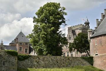 Fototapeta na wymiar L'arbre majestueux au dessus des anciennes fortifications du château-fort de Gaasbeek, près de Bruxelles 