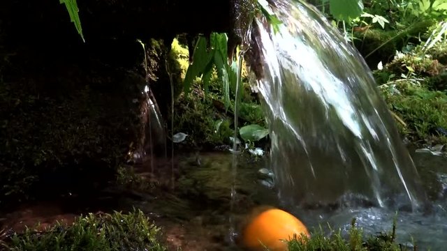 Oranges are floating along the stream