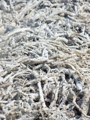 holzasche brand verbrennung äste feuer rückstand