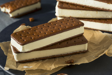 Sweet Chocolate and Vanilla Ice Cream Sandwich