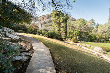Japanese Garden at Kibbutz Hephzibah