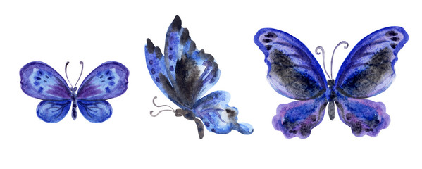 Blue butterfly, set, watercolor painting on white background.