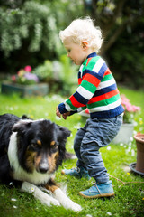 Kind nervt den Hund