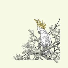 Beautiful tropical background with a parrot. Cockatoo sitting on the branches of a tree. Vintage style. Vector illustration.
