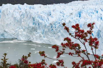 Perito Moreno, Park Narodowy Los Glaciares, Argentyna - obrazy, fototapety, plakaty