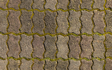 Zig Zag Paving
