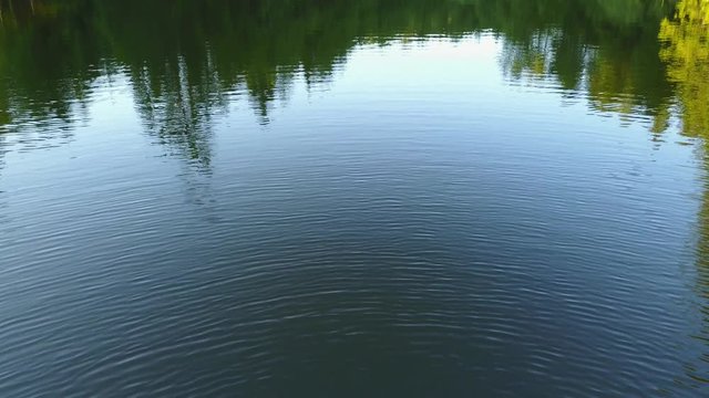 View of a lake in germany flying above with nice view on the trees. Ebnisee, slow camera move