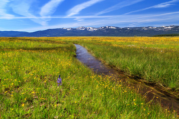 Goodrich Creek