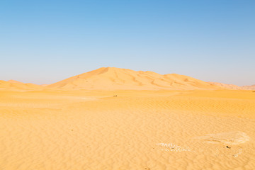 Fototapeta na wymiar in oman old desert rub al khali the empty quarter and outdoor sand dune