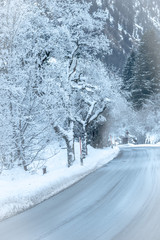 Bäume Allee schneebedeckt und Rauhreif