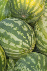 Watermelon at Farmers Market