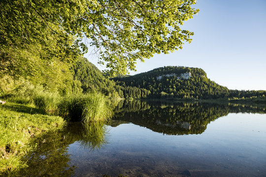 scenic reflection of Forest in the clear lake at Bonlieu