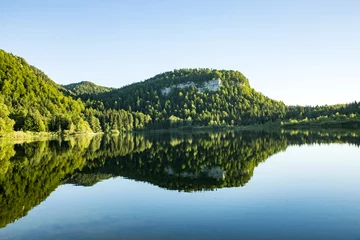 Crédence de cuisine en verre imprimé Lac / étang scenic reflection of Forest in the clear lake at Bonlieu