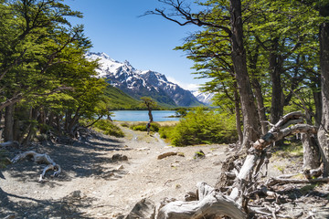 Laguna Hija, Treking pod Fitz Roy, Patagonia, Argentyna