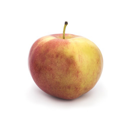red apple on white background