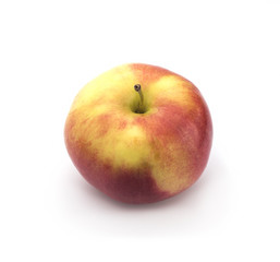 red apple on a white background