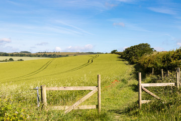 Fototapeta na wymiar A gate and farm landscape