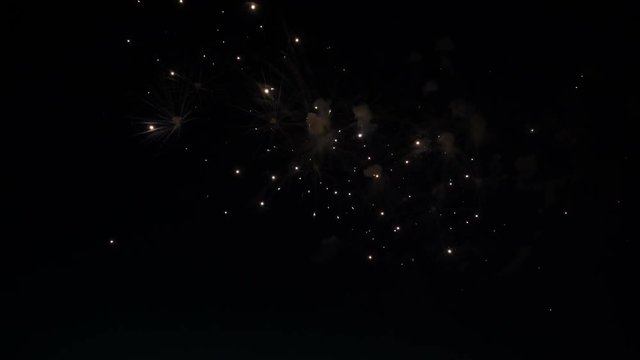 fireworks in the night sky in honor of the holiday.