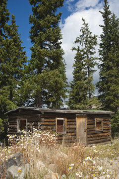 Old Mountain Log Cabin