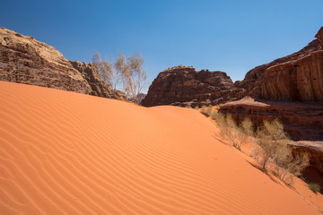 Fototapeta na wymiar Dune dans le désert du Wadi Rum