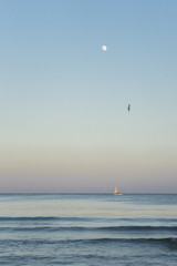 Yacht under the moon/Distant yacht sailing on the Black Sea lit by the sunset golden light and under the risen full moon and a flying seagull.