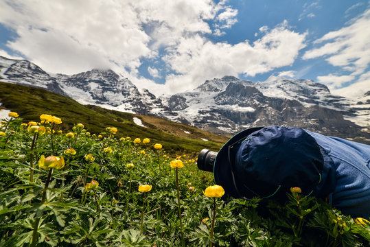 Young girl with hat taking closeup photos of beautiful flowers in Swiss Alsp. Scenic panoramic landscape in the background